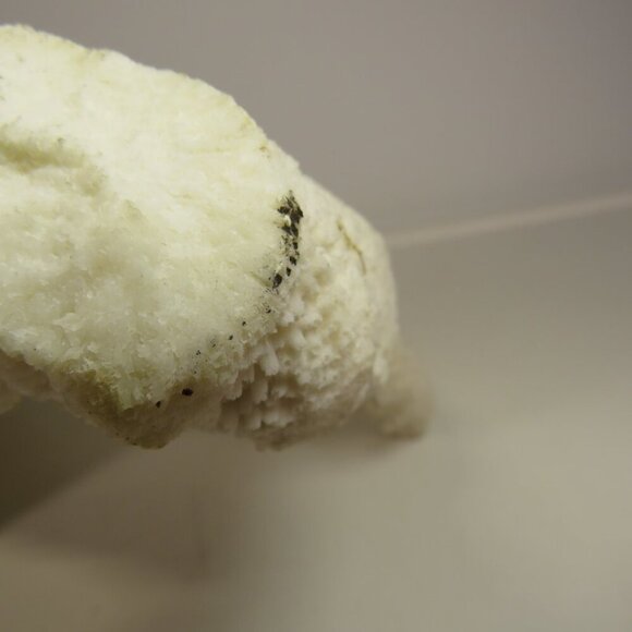 (1) solid Piece of REAL Coral over 3lbs & 13" long - Picture 13 of 14